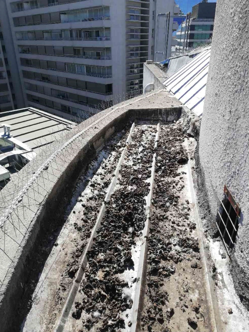 Reparación de shafts de basura y restauración de estructuras metálicas
